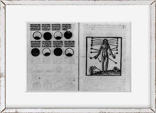 תצלומים אינסופיים 1516 צילום: מדריך להתייחסות לדם | שלבים, ירח, נקודות, מפתח לדמות עירום | ספר פלוטומיה |